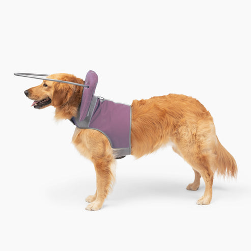 Muffin's Halo Blind Dog Guide - - Blind Dog Guide by Muffins Halo
