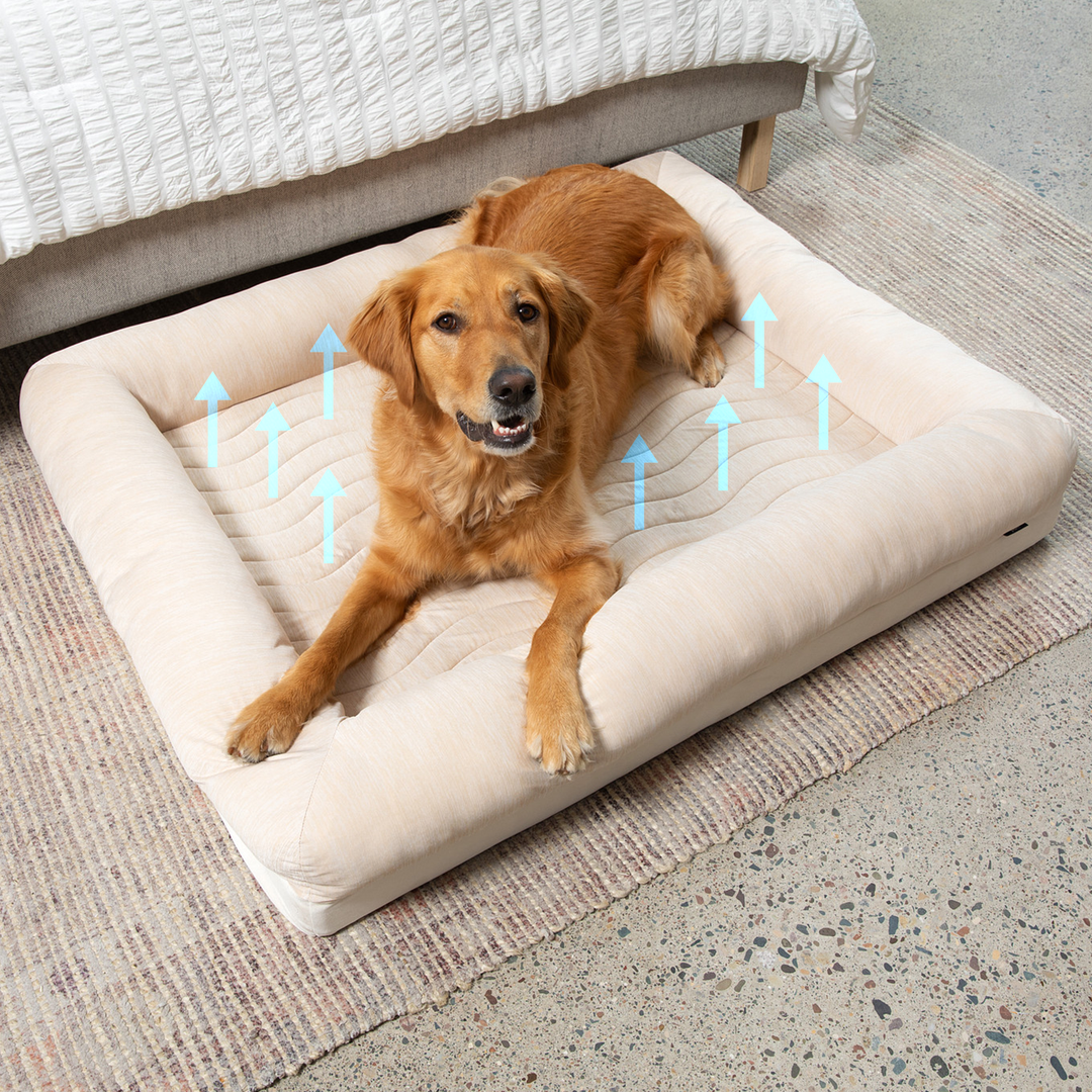 PupChill™ Cooling 4-Bolster Dog Bed - Arctic Sand - - Dog Beds by Paw.com