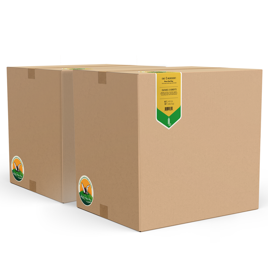 Rabbit Hole Hay Ultra Premium Oat Hay - - Hay by Rabbit Hole Hay