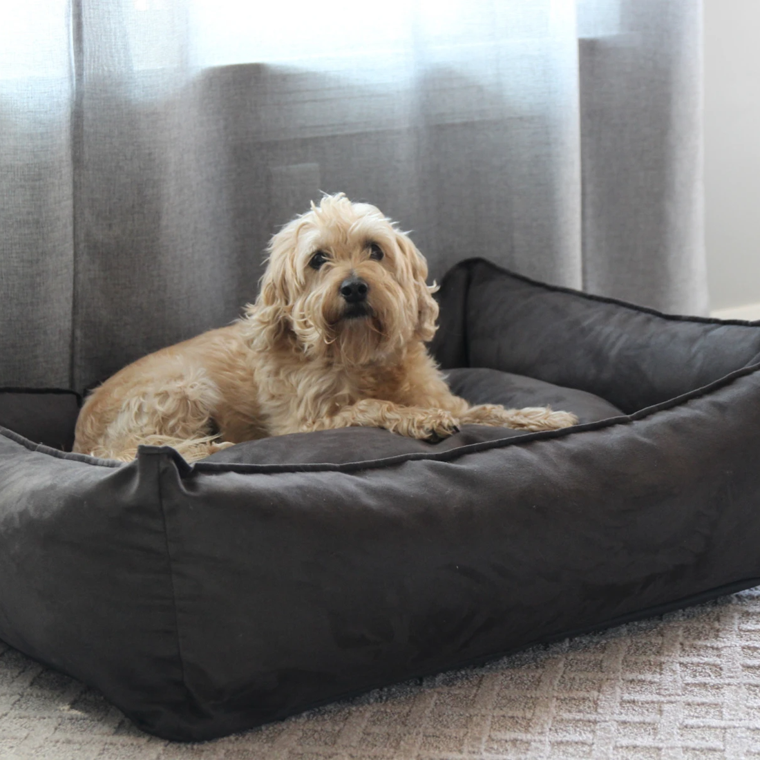 BuddyRest Oasis Plush Pillow Dog Bed