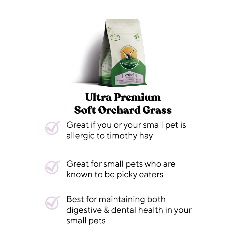 Rabbit Hole Hay Ultra Premium Soft Orchard Grass - - Hay by Rabbit Hole Hay
