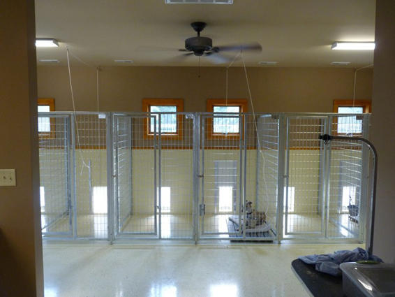 TK Products Complete 4’W Kennel w/8-3” Stainless steel bolt assemblies - - Dog Kennels & Runs by TK Products
