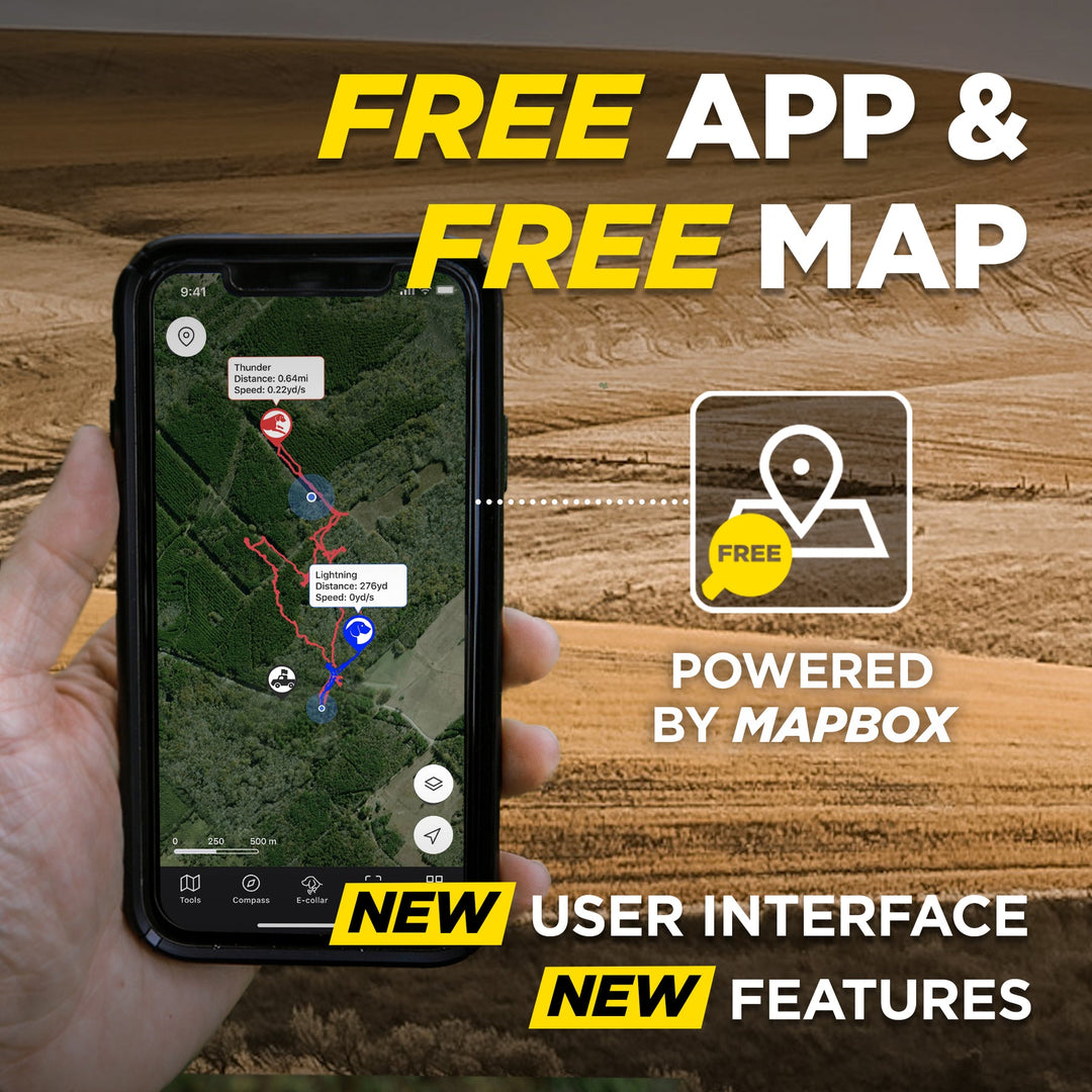 Dogtra Pathfinder2 Mini E-Collar - - by Dogtra