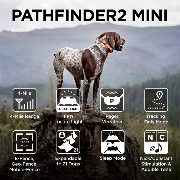 Dogtra Pathfinder2 Mini E-Collar - - by Dogtra