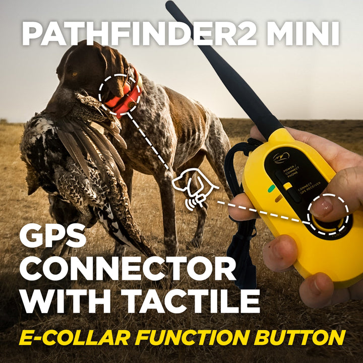 Dogtra Pathfinder2 Mini E-Collar - - by Dogtra