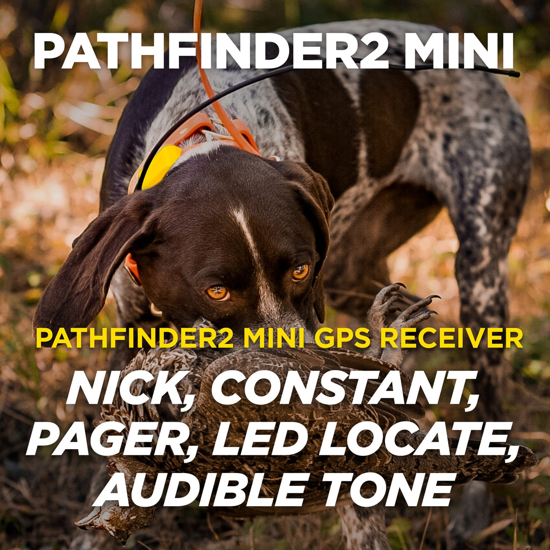 Dogtra Pathfinder2 Mini E-Collar - - by Dogtra