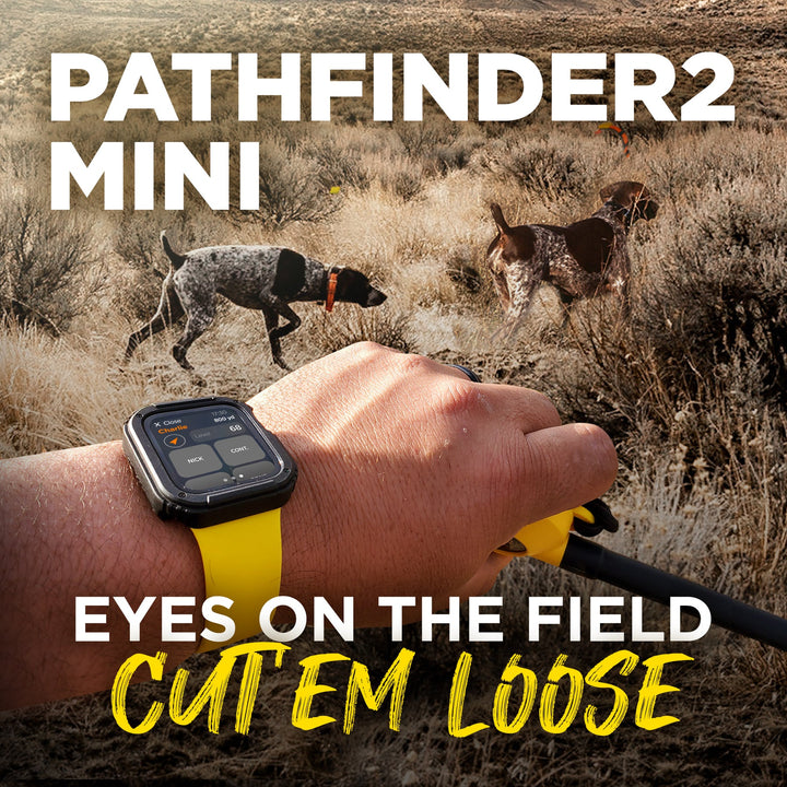 Dogtra Pathfinder2 Mini E-Collar - - by Dogtra
