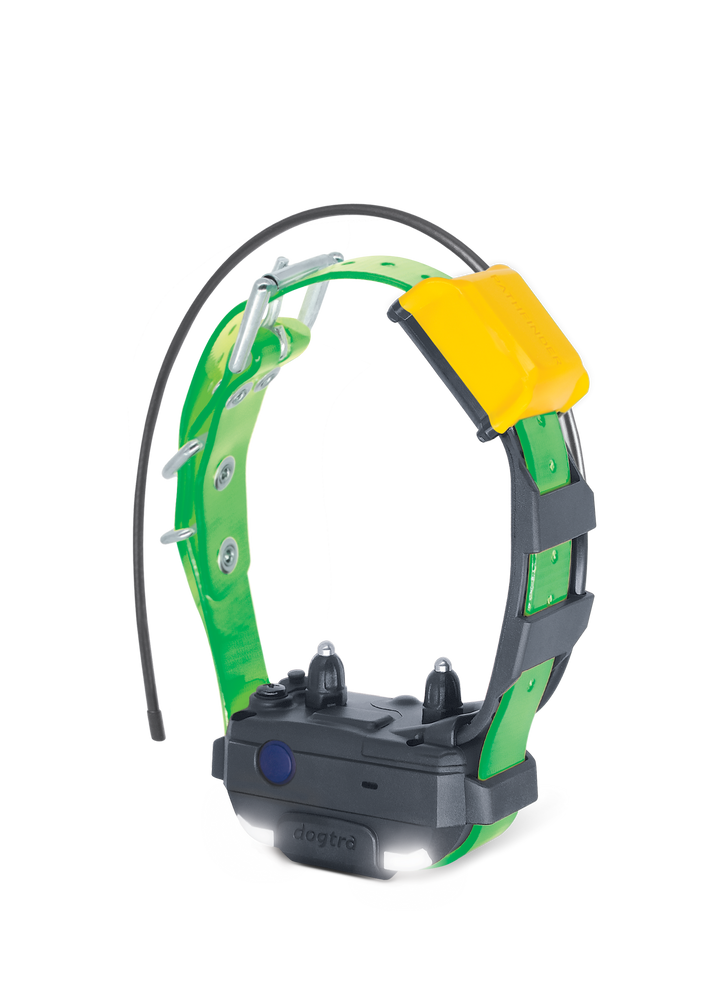 Dogtra Pathfinder2 Mini Additional Receiver - Green - by Dogtra
