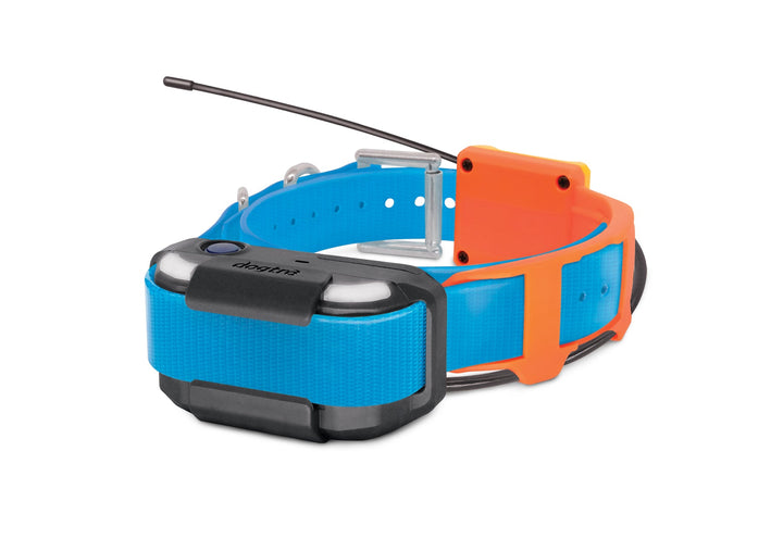 Dogtra Pathfinder2 TRX Receiver - Blue - by Dogtra