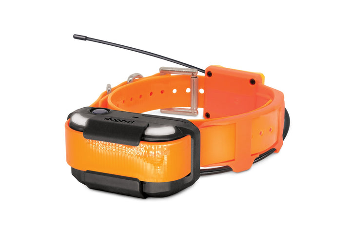 Dogtra Pathfinder2 TRX Receiver - Orange - by Dogtra