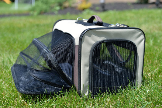 Armarkat Airline Approved Pet Carrier - - Pet Carrier by Armarkat