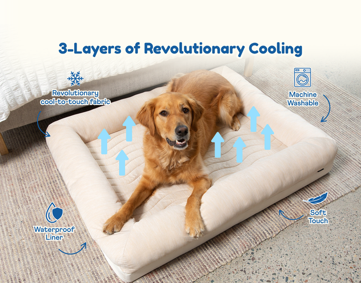 PupChill™ Cooling 4-Bolster Dog Bed - Arctic Sand - - Dog Beds by Paw.com