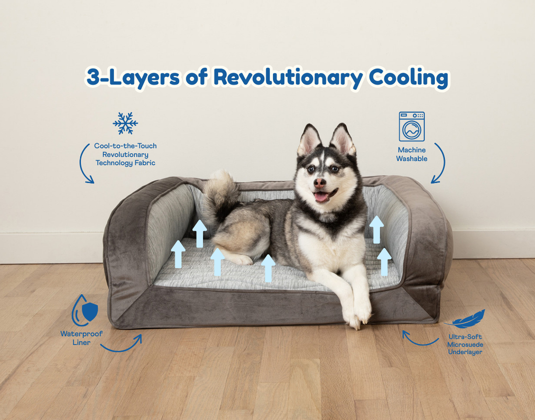 PupChill™ Cooling Bolster Dog Bed - - by Paw.com