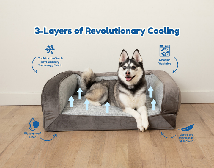 PupChill™ Cooling Bolster Dog Bed - - by Paw.com