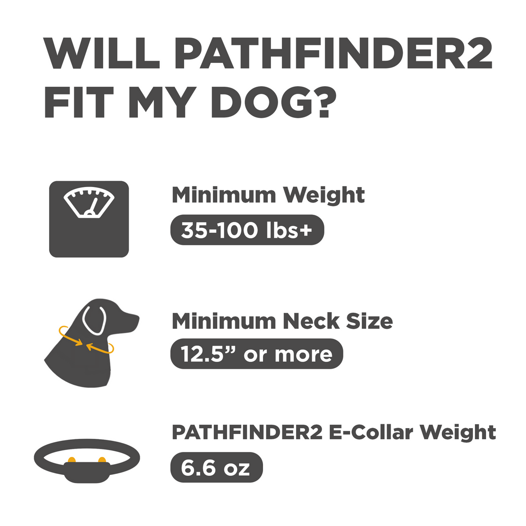 Dogtra Pathfinder2 E-Collar - - by Dogtra