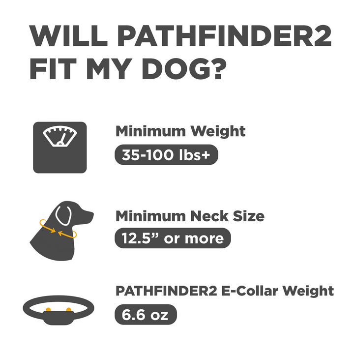 Dogtra Pathfinder2 E-Collar - - by Dogtra