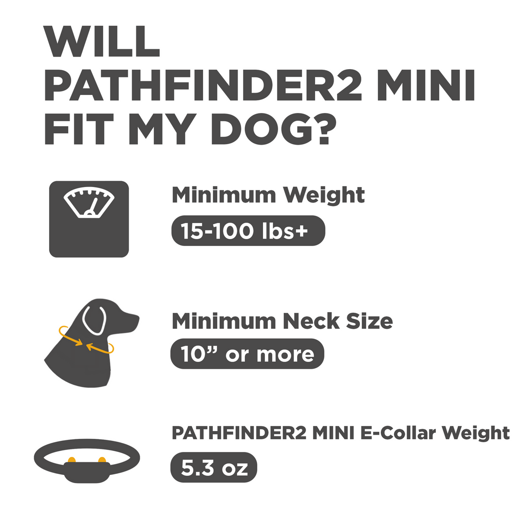 Dogtra Pathfinder2 Mini E-Collar - - by Dogtra
