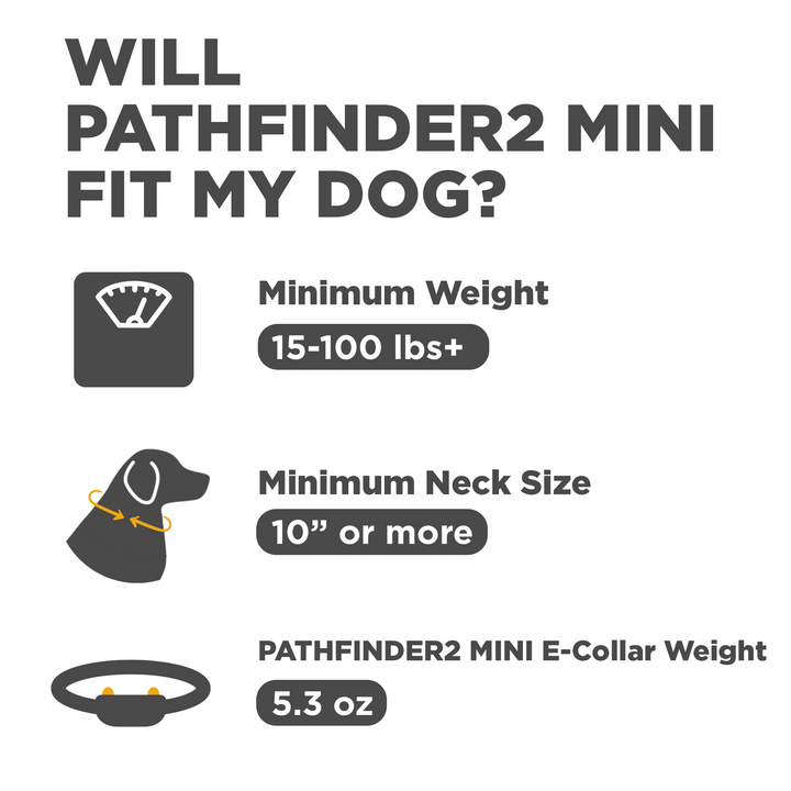 Dogtra Pathfinder2 Mini E-Collar - - by Dogtra