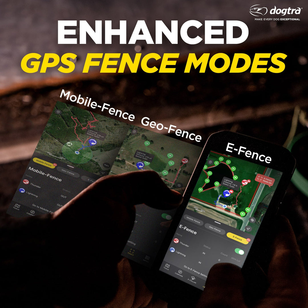 Dogtra Pathfinder2 E-Collar - - by Dogtra