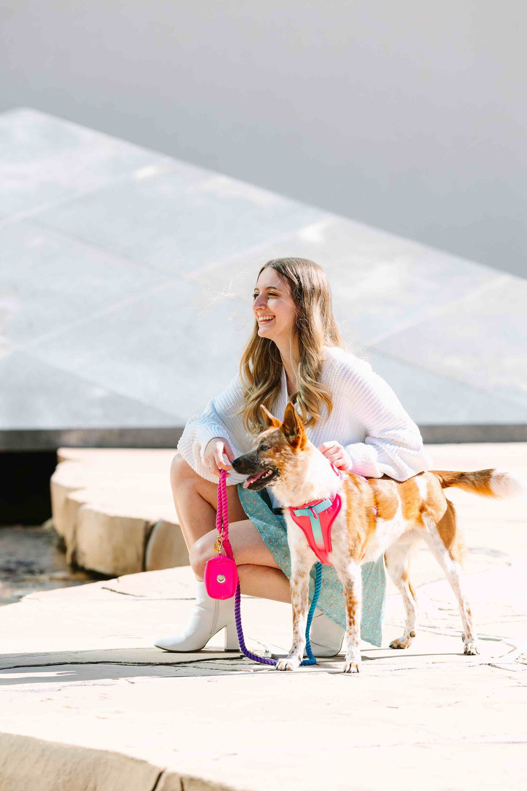 Stasia Dog Harness
