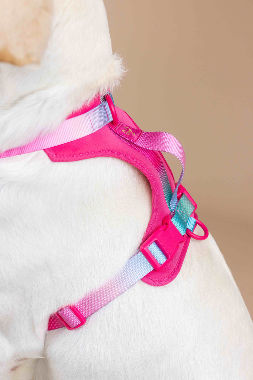 Stasia Dog Harness