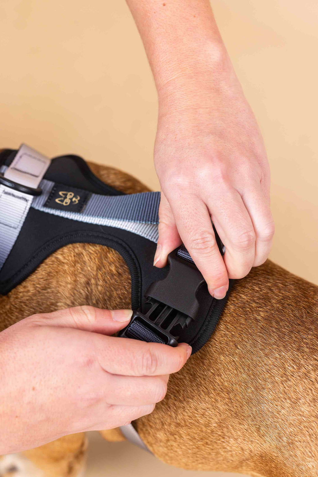 Rowan Dog Harness