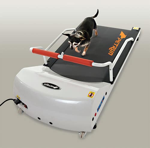 GoPet PR700 - Toy Breed Treadmill - - Dog Treadmills by GoPet