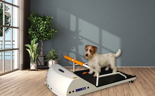 GoPet PR700 - Toy Breed Treadmill - - Dog Treadmills by GoPet