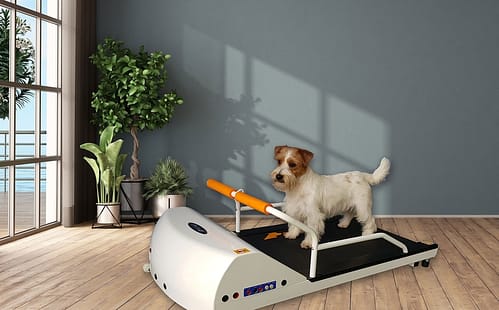 GoPet PR700 - Toy Breed Treadmill