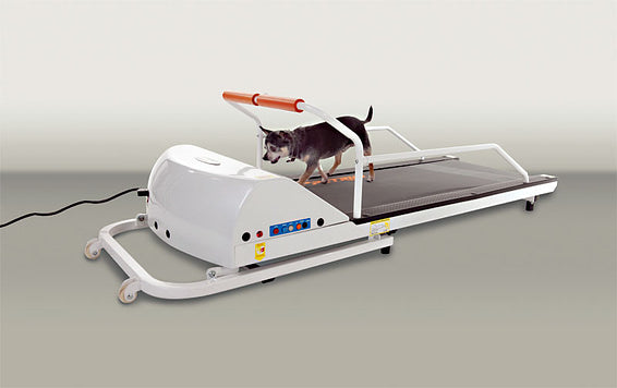 GoPet PR710F – Toy/Small Breed Treadmill - - Dog Treadmills by GoPet