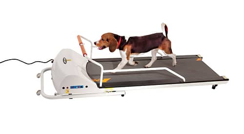 GoPet PR720F – Small/Medium Breed TreadMill - - Dog Treadmills by GoPet