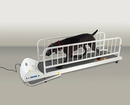 GoPet PR725 – Large Breed Treadmill - - Dog Treadmills by GoPet