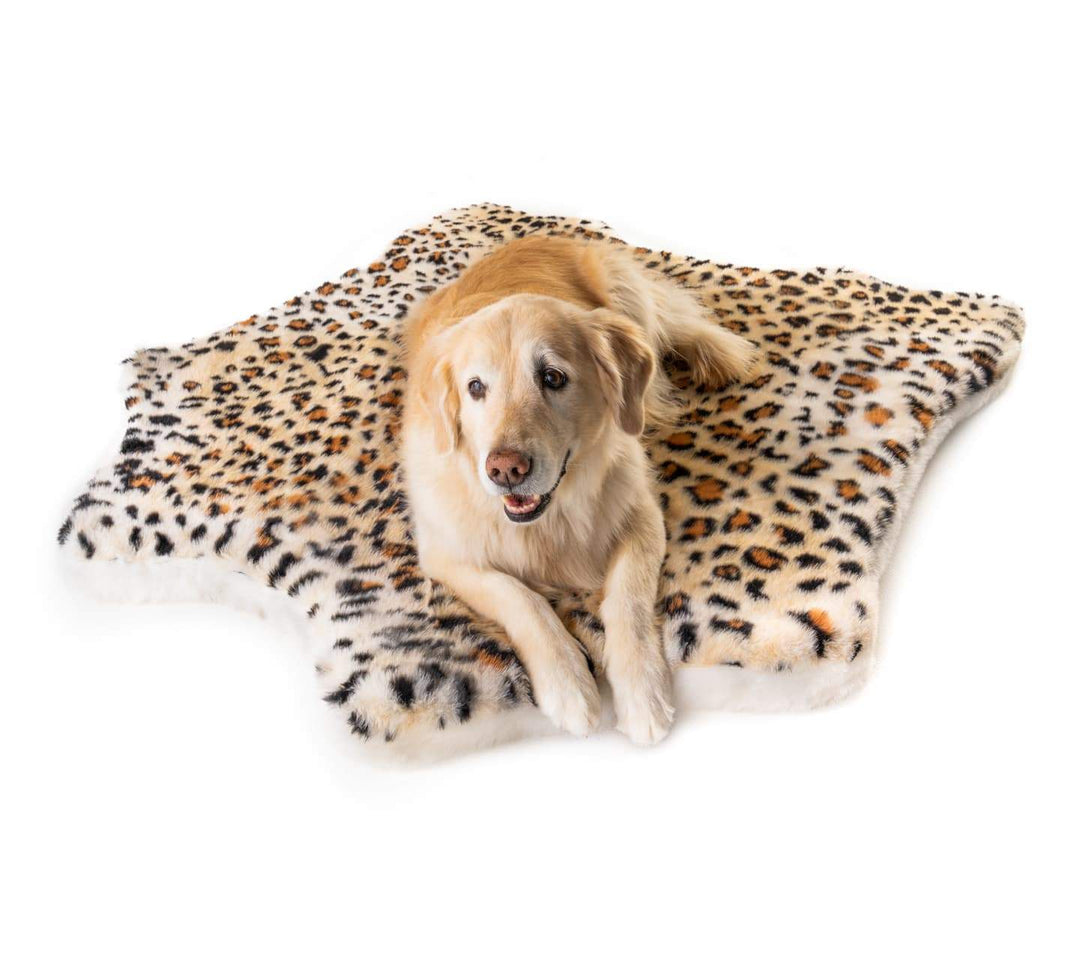 PupRug™ Animal Print Memory Foam Dog Bed - Cheetah Faux Print - - Today by Paw.com