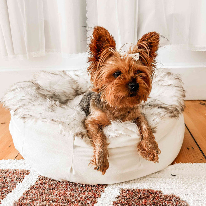 PupPouf™ Faux Fur Donut Dog Bed - White with Brown Accents - - Dog Beds by Paw.com