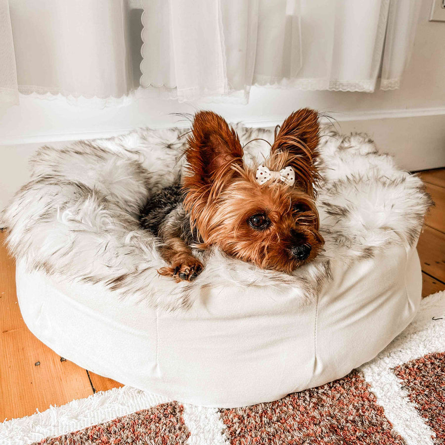 PupPouf™ Faux Fur Donut Dog Bed - White with Brown Accents - - Dog Beds by Paw.com