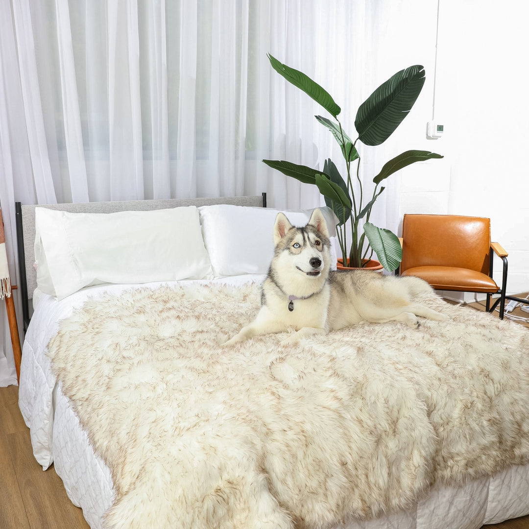 PupProtector™ Waterproof Throw Blanket - White with Brown Accents - - Dog Blanket by Paw.com