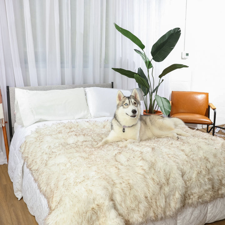 PupProtector™ Waterproof Throw Blanket - White with Brown Accents - - Dog Blanket by Paw.com
