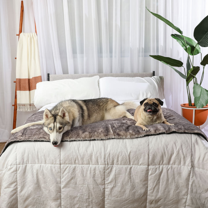 PupProtector™ Luxe Waterproof Bed Runner - Ultra Soft Chinchilla - - Dog Blanket by Paw.com