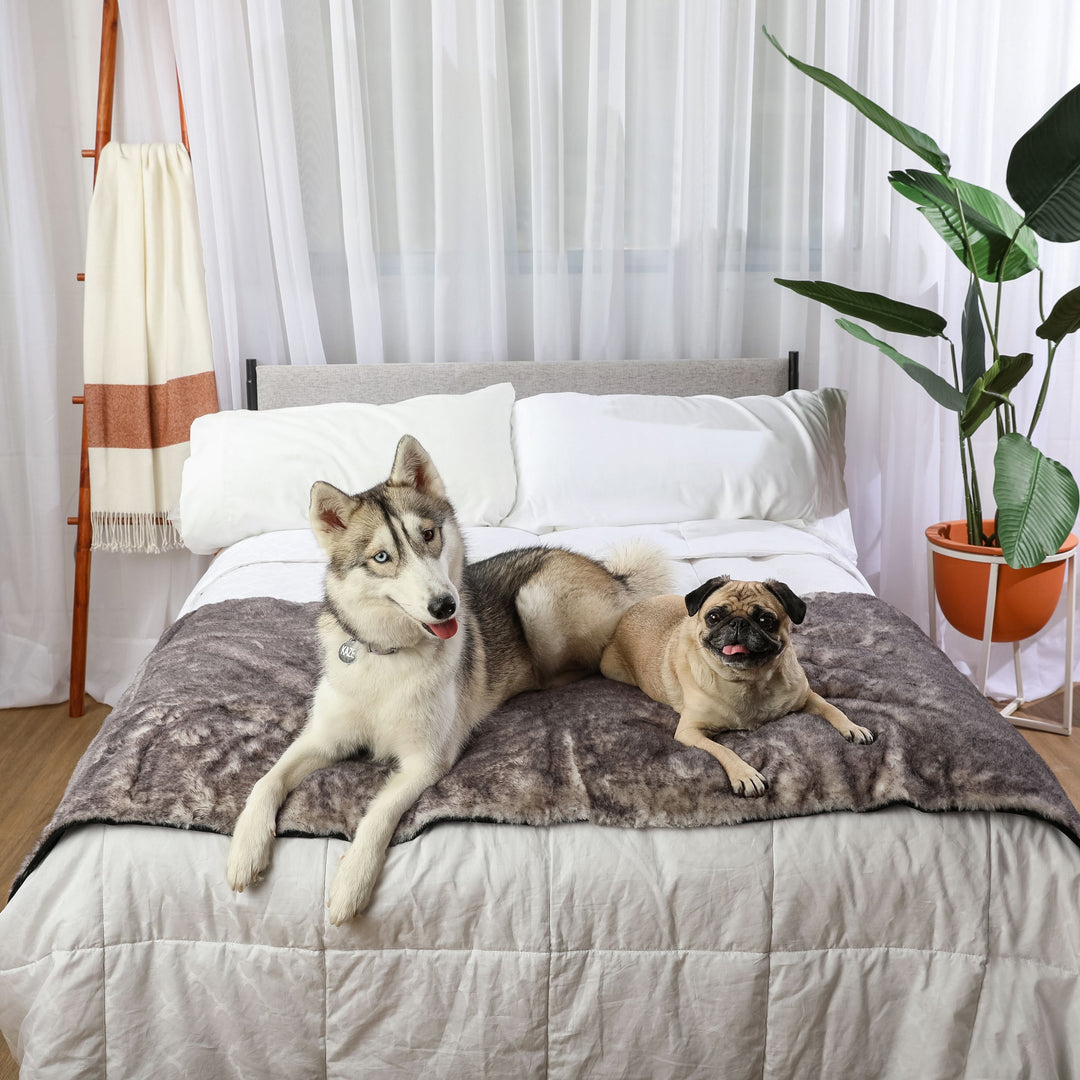 PupProtector™ Luxe Waterproof Bed Runner - Ultra Soft Chinchilla - - Dog Blanket by Paw.com