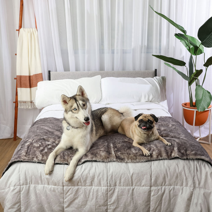 PupProtector™ Luxe Waterproof Bed Runner - Ultra Soft Chinchilla - - Dog Blanket by Paw.com