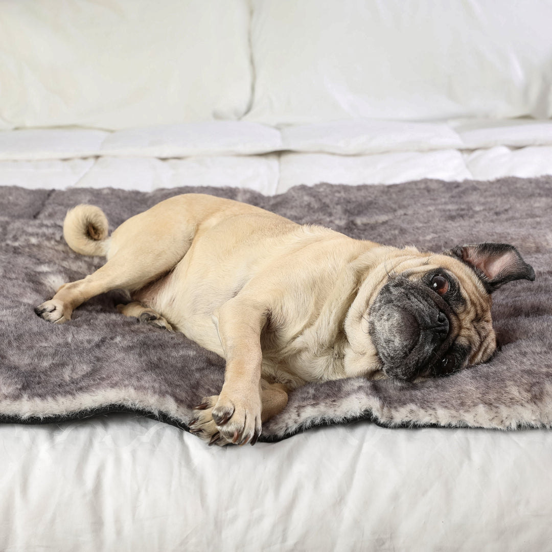 PupProtector™ Luxe Waterproof Bed Runner - Ultra Soft Chinchilla - - Dog Blanket by Paw.com