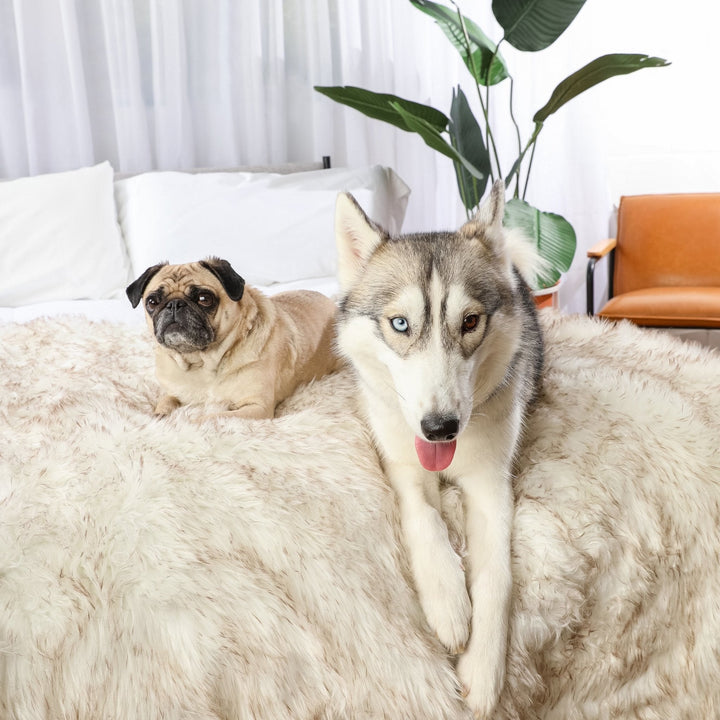 PupProtector™ Waterproof Throw Blanket - White with Brown Accents - - Dog Blanket by Paw.com