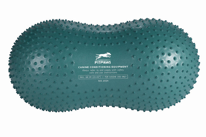 FitPAWS Trax Peanut Dog Training Platform - 60cm (Turquoise) - Training by FitPAWS