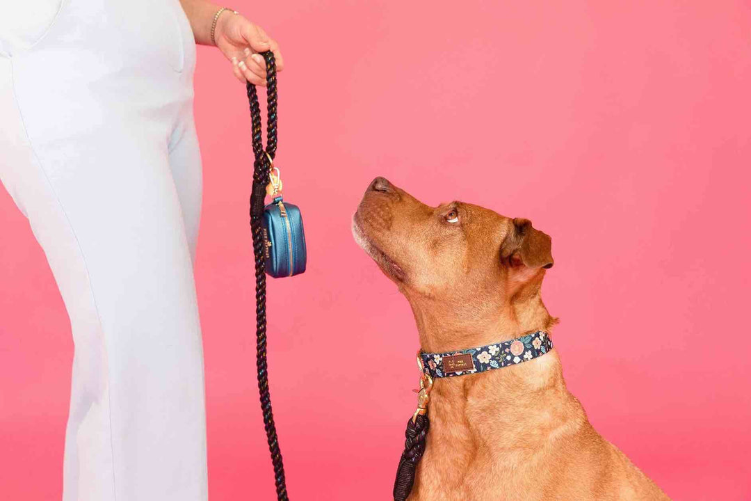 Stella Rope Dog Leash