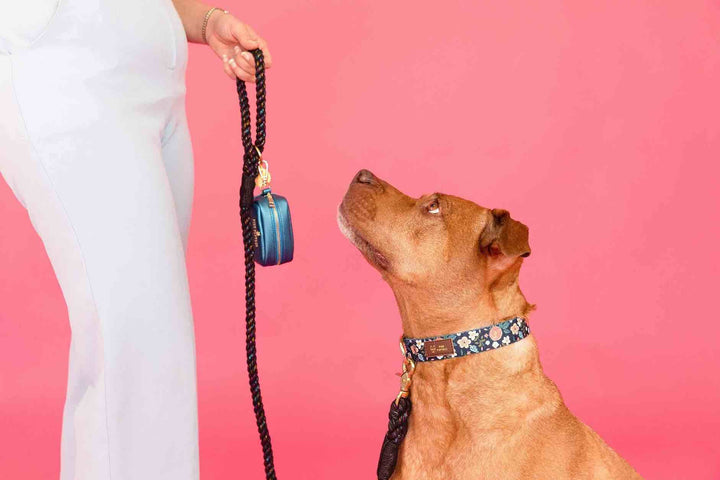 Stella Rope Dog Leash