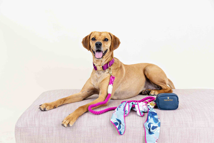 Reagan Waste Bag Holder & Treat Pouch