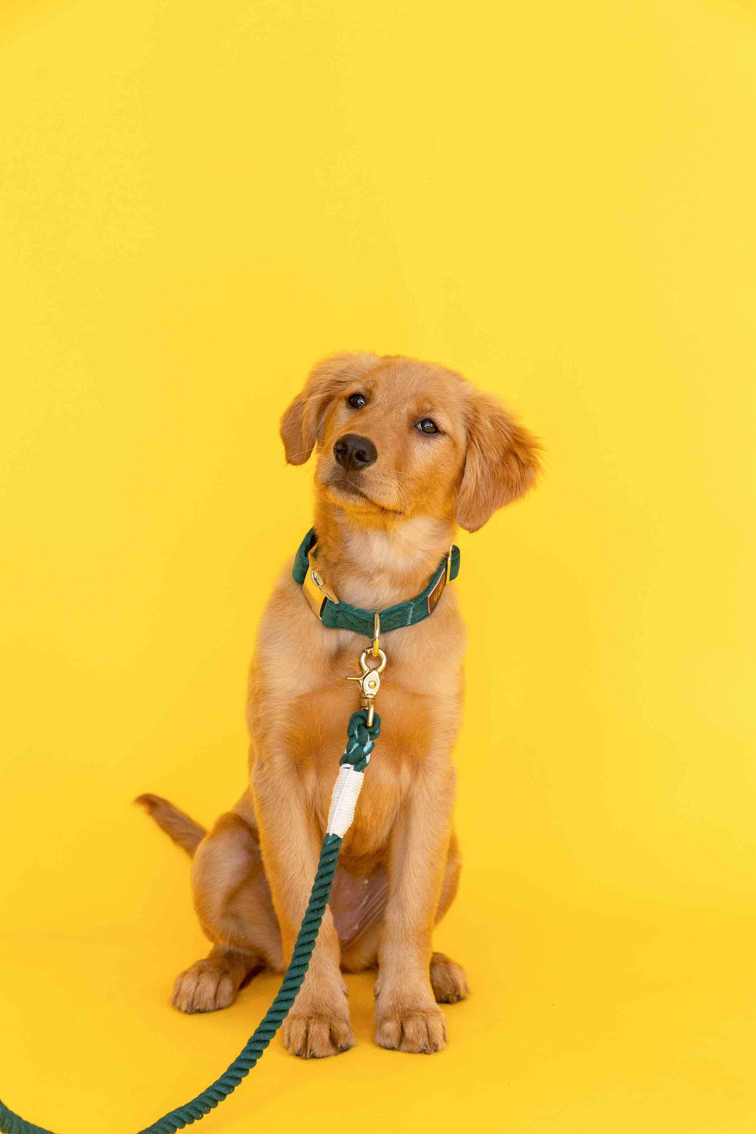 Sam Rope Dog Leash