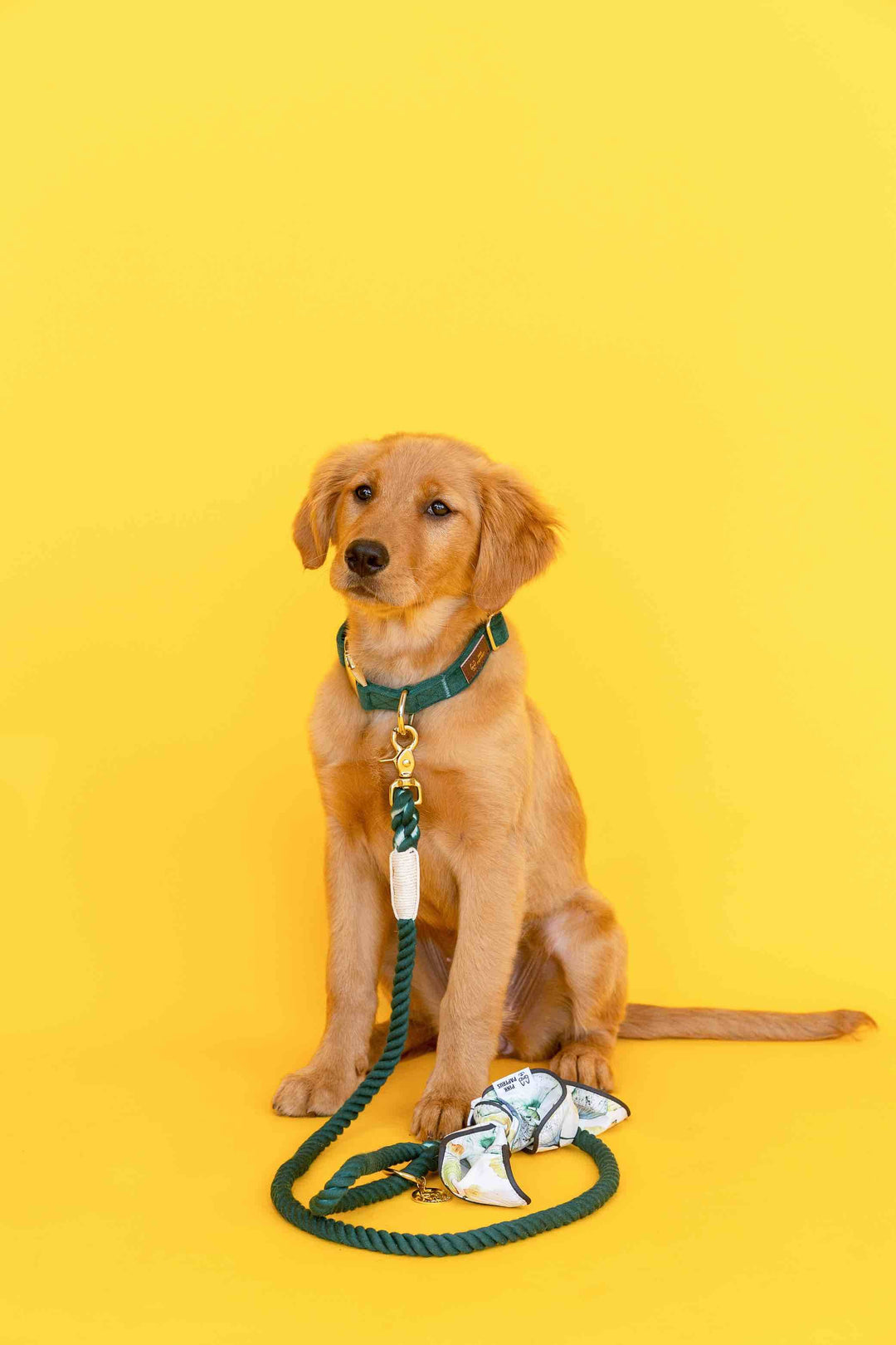 Sam Rope Dog Leash