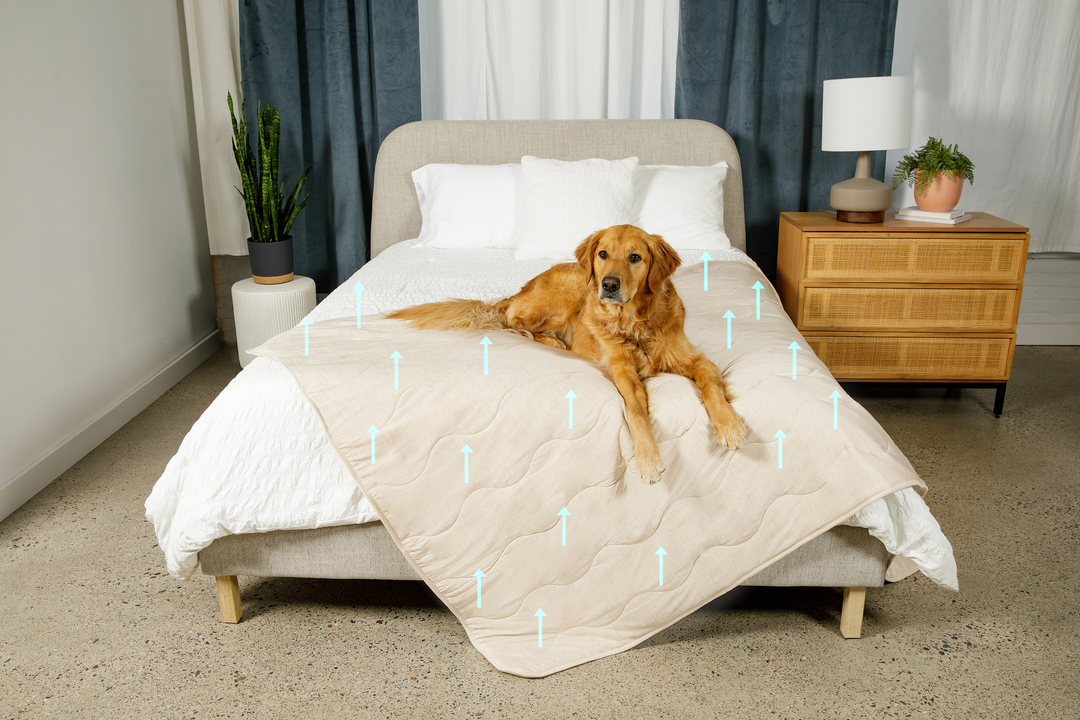 PupChill™ Cooling Waterproof Blanket - Arctic Sand - - Dog Blanket by Paw.com