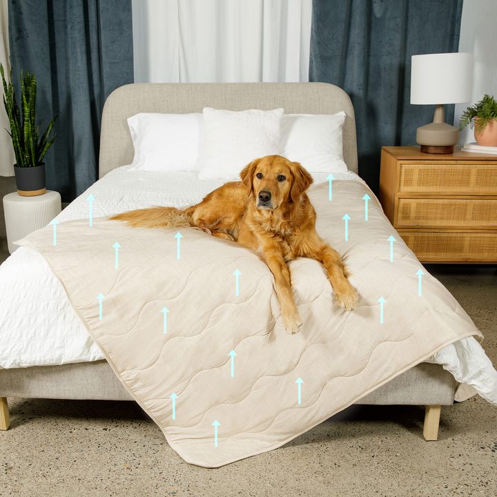 PupChill™ Cooling Waterproof Blanket - Arctic Sand - - Dog Blanket by Paw.com